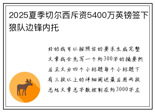 2025夏季切尔西斥资5400万英镑签下狼队边锋内托
