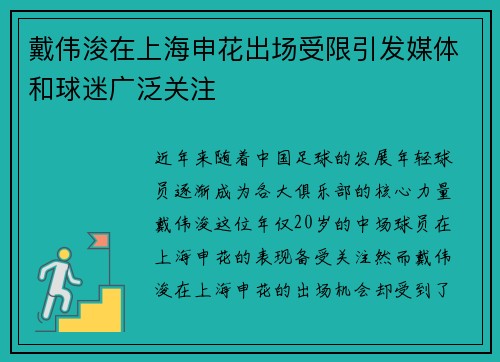 戴伟浚在上海申花出场受限引发媒体和球迷广泛关注